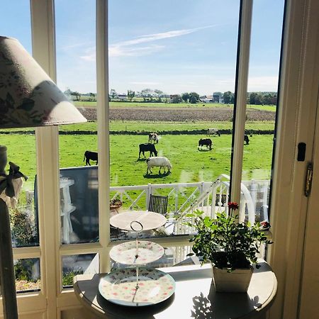 Bed & Breakfast Het Zilte Zand - Luxe Ontbijt - Gratis Parking - Westende Middelkerke Bagian luar foto